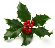 Merry Christmas from SaleHoo!